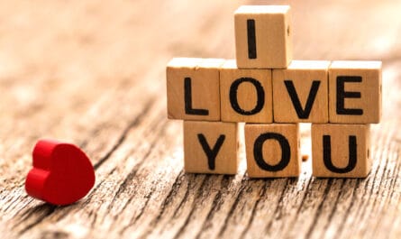 citations amour