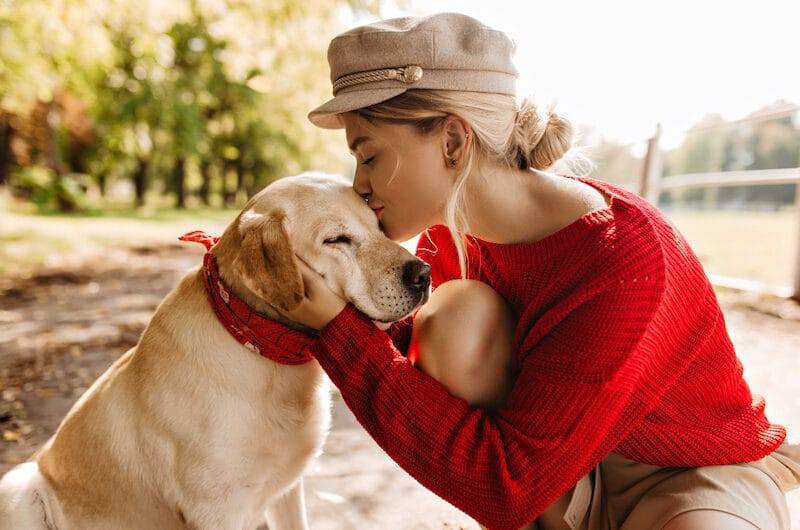 Éduquer un Chien : la bonne manière de s’y prendre