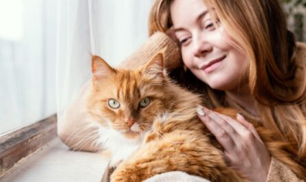 apprivoiser chat