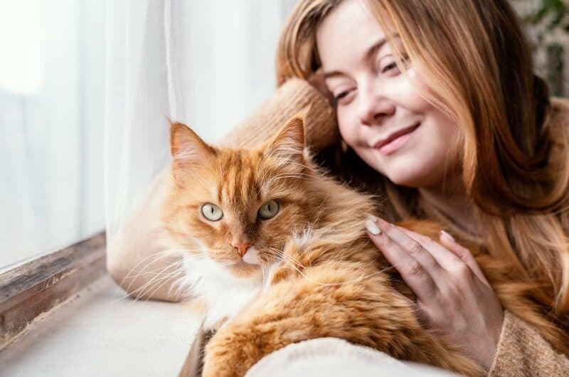 Apprivoiser un Chat : des astuces et techniques faciles