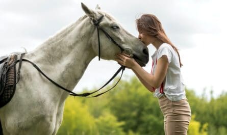 randonnée cheval