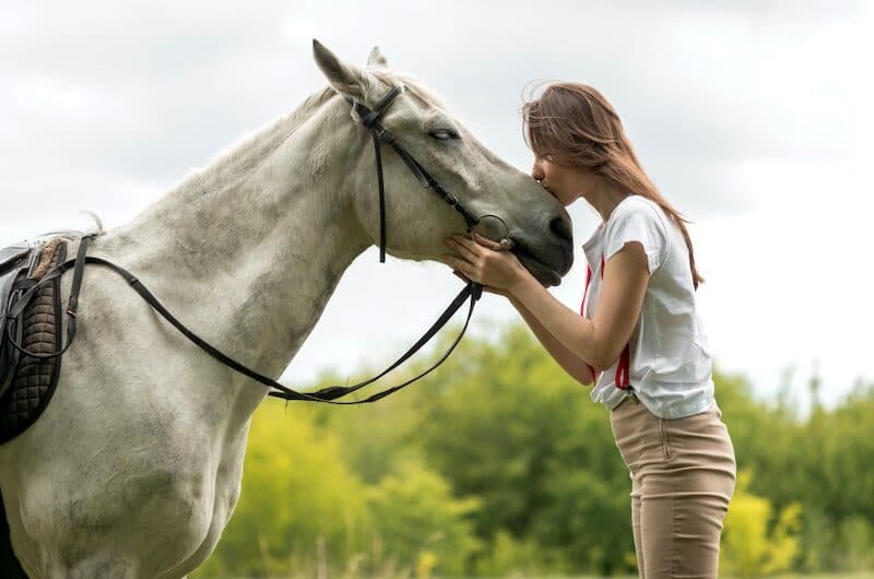 Randonnée à Cheval : Où est-il possible d’en pratiquer ?