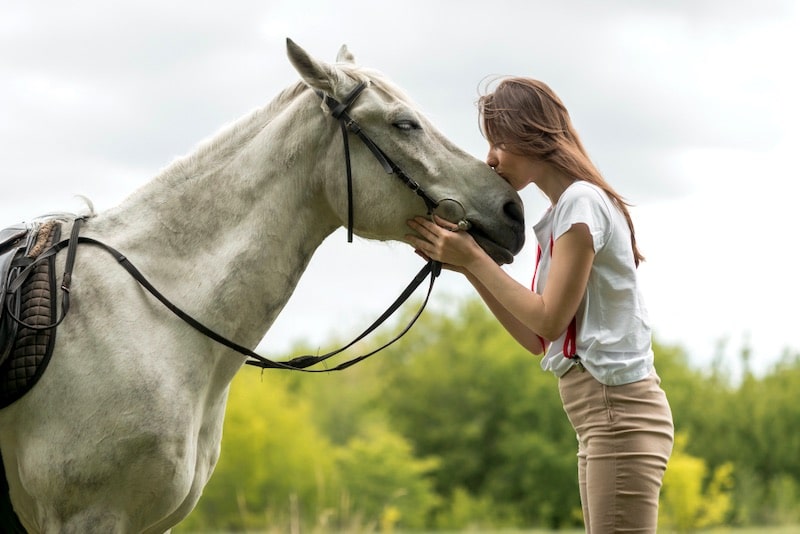 randonnée cheval