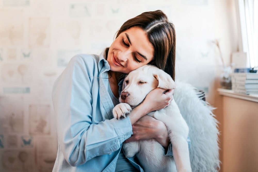 assurance pour animaux