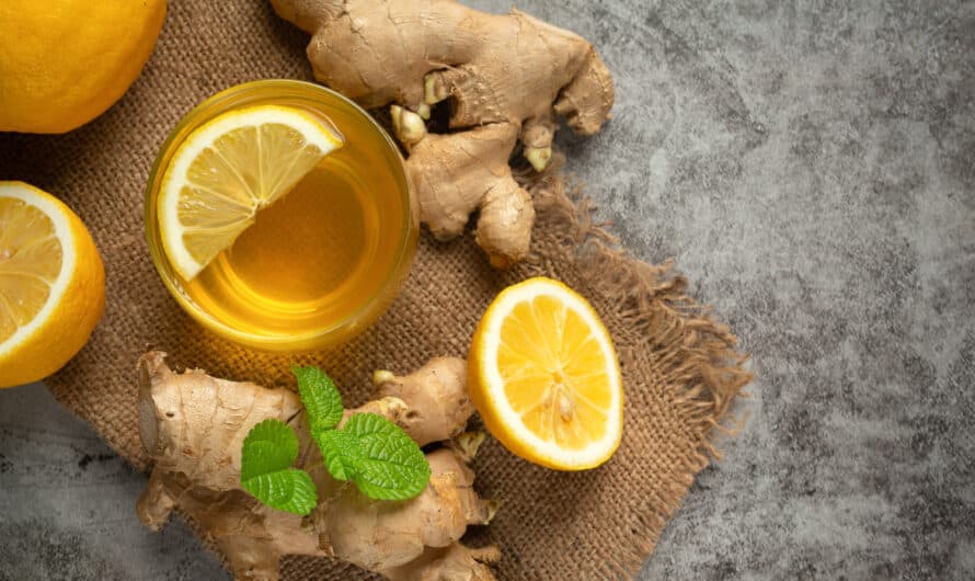 Le ginseng pour stimuler la libido : comment ça marche ?