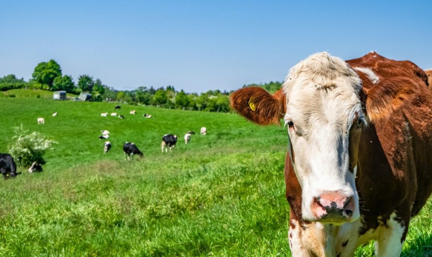 Présentation de Plein Champ, la marque des pro de l’agriculture