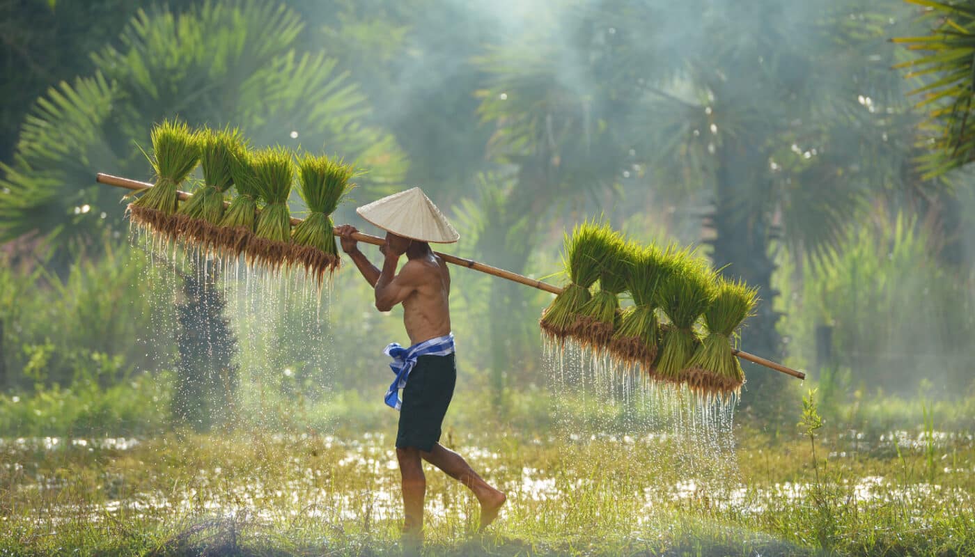 visa pour la Thaïlande