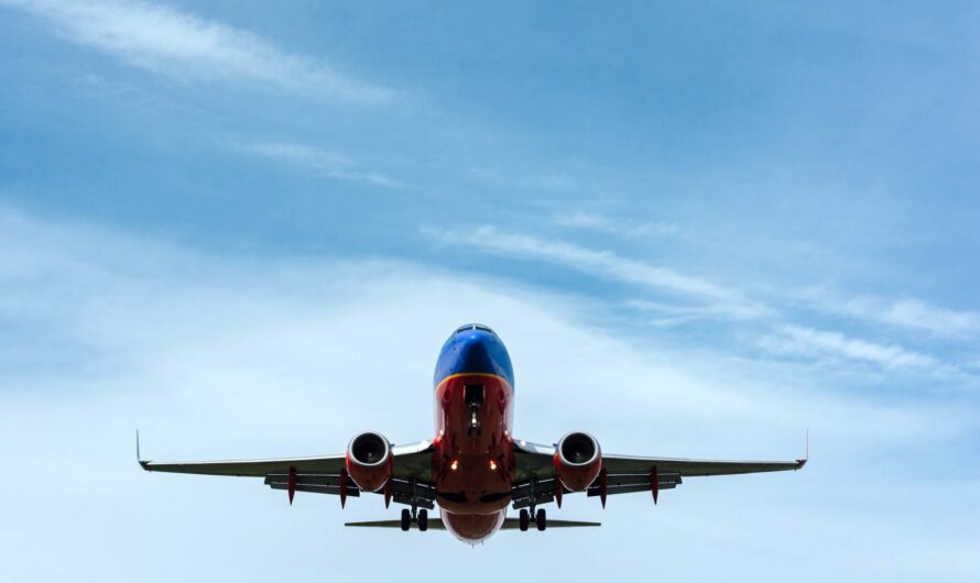 Peut-on prendre de la nourriture en avion ?