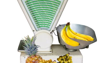 Quel est le prix d'une balance professionnelle ?