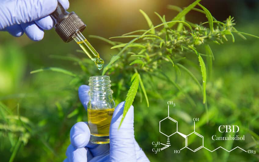 Quels sont les bienfaits du CBD sur la santé ?