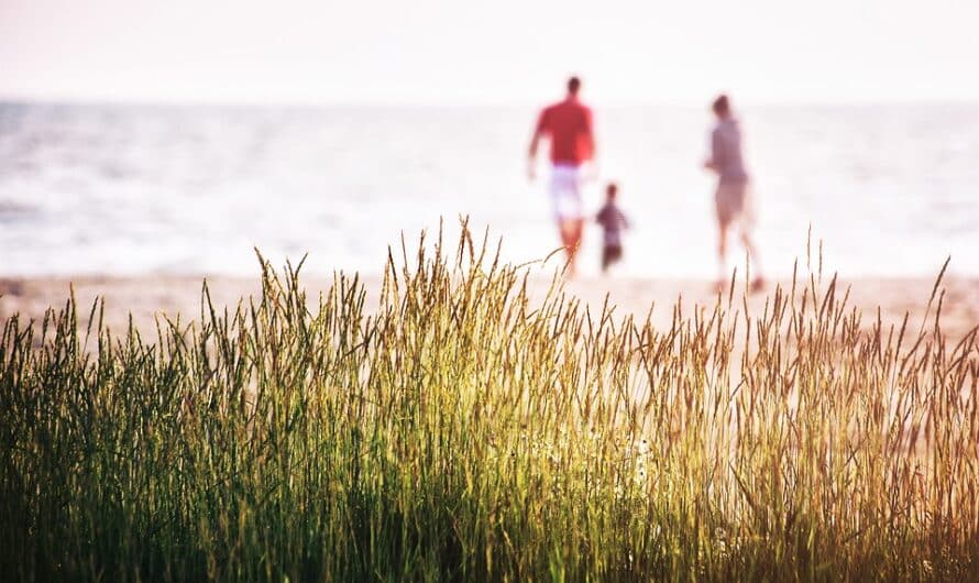 Vacances en famille à la découverte de la nature : Nos astuces pour en profiter au maximum