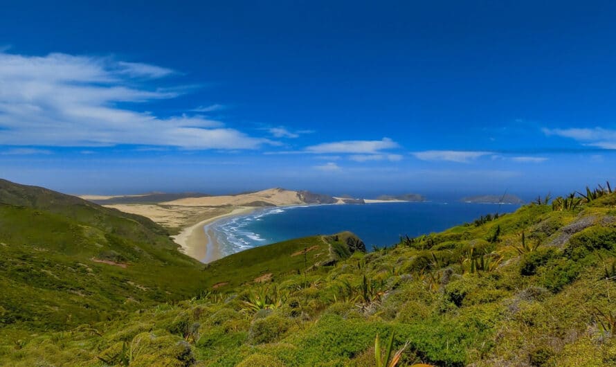 Découvrez la Costa Dorada et ses campings-villages pour des vacances de rêve