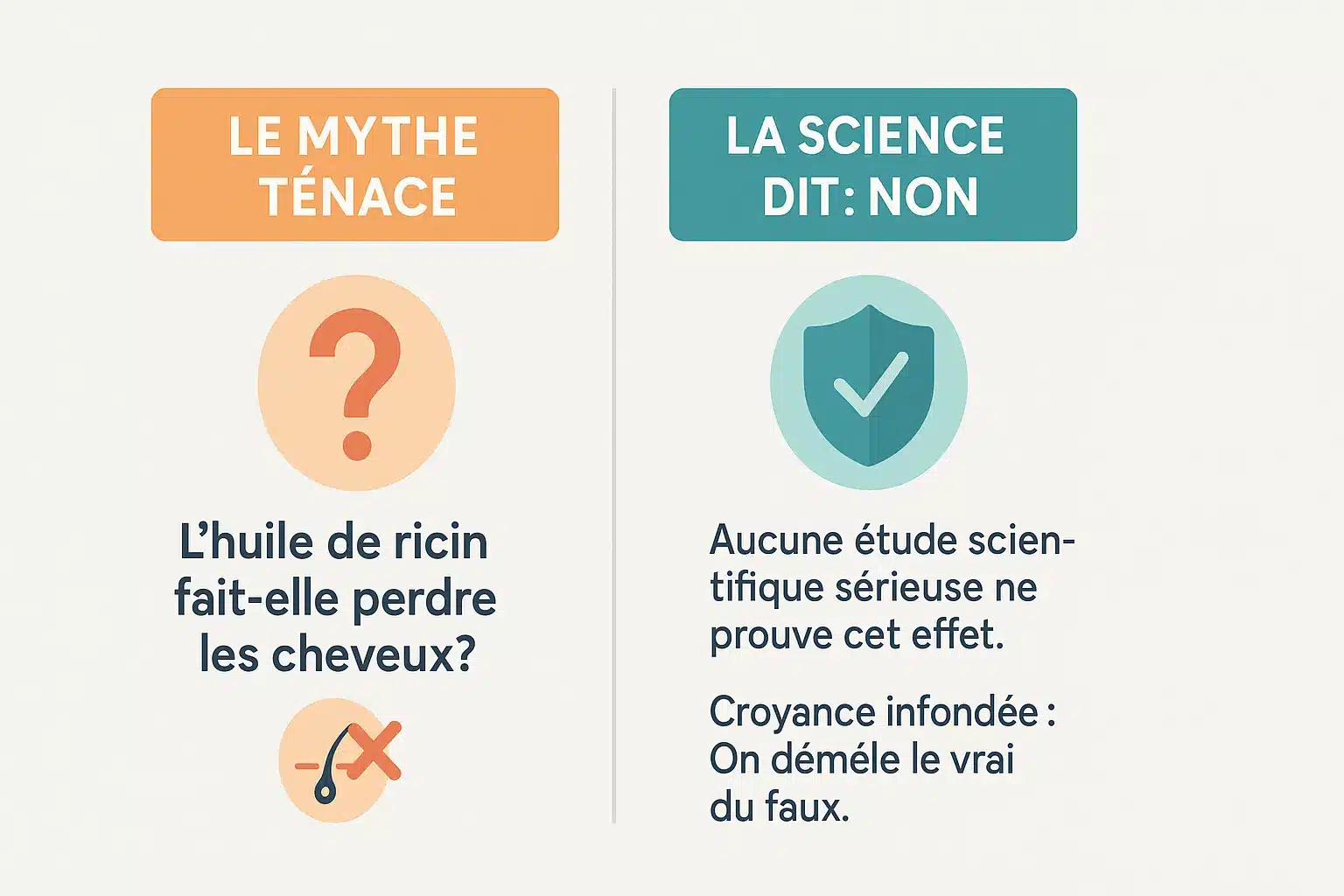 Illustration démystifiant les mythes sur l'huile de ricin et la perte de cheveux
